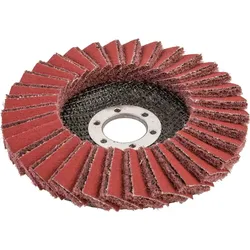 FORMAT Fächerschleifscheibe kombiniert 125mm mittel