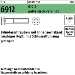 Zylinderschraube DIN 6912 Innen-6kt M6x30 010.9 galv.verz. 500St.