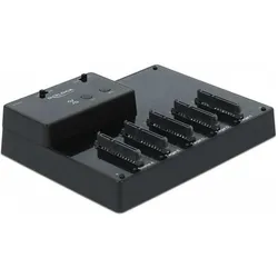 Delock Docking- und Klonstation 64098 für 5x 2.5 SATA HDD / SSD, SSD + Festplatte Zubehör