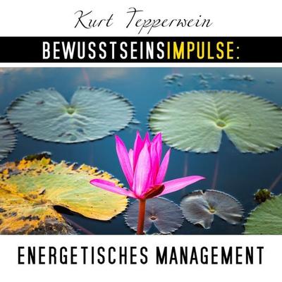 Bewusstseinsimpulse: Energetisches Management - Kurt Tepperwein, Audio, 4250701997512
