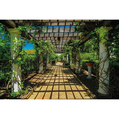 Fototapete PAPERMOON "Garden Walkway", bunt, B:4m L:2,6m, Vlies, Tapeten