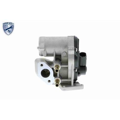 VEMO Ventil, Abgasrückführung AGR-Ventil EXPERT KITS + v10630012 für Audi