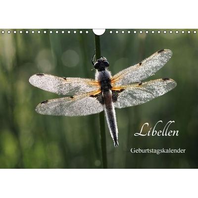 Libellen Geburtstagskalender (Wandkalender immerwährend DIN A4 quer)