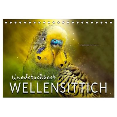 Wunderschöner Wellensittich (Tischkalender 2027 DIN A5 quer), CALVENDO Monatskalender