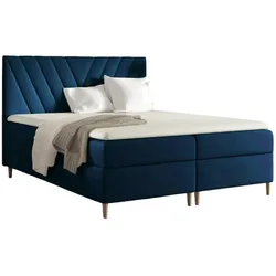 BOXBETT Espen