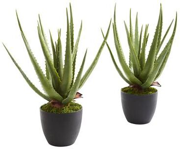 Nearly Natural Aloe Artificial Plant (Set of 2)