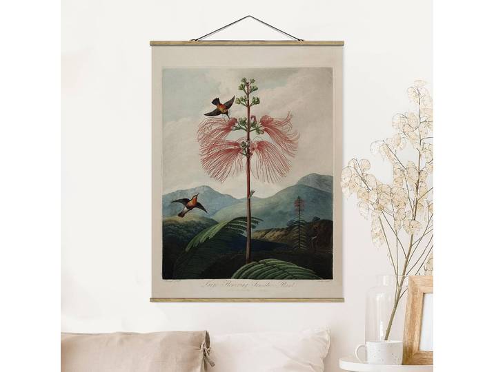 Tableau déco Fleurs et colibri Tissu Multicolore 50 x 66cm