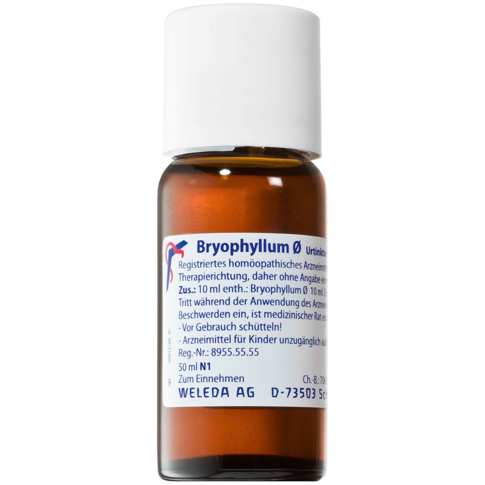 Bryophyllum Urtinktur 50 ml Dilution