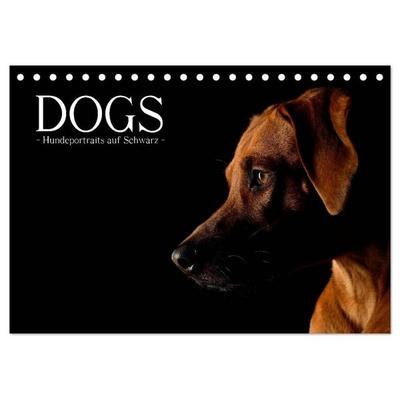 Dogs (Tischkalender 2026 DIN A5 quer), CALVENDO Monatskalender