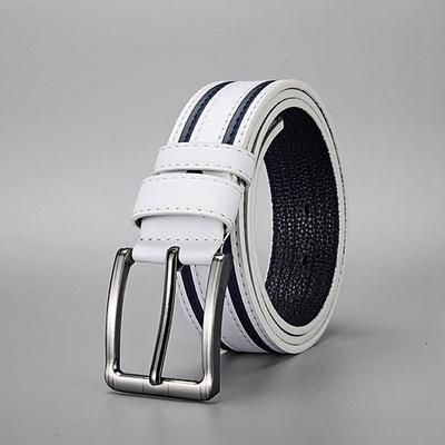 Herren Gürtel Verstellbar Leder Legierung Streetwear Zeitgenössisch Freizeit Farbblock Blau Schwarz Täglich Geschäft Formell Taillengürtel