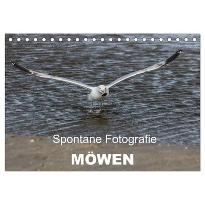 Spontane Fotografie - Möwen (Tischkalender 2026 DIN A5 quer), CALVENDO Monatskalender