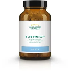 B-life Protect Kapseln 120 St