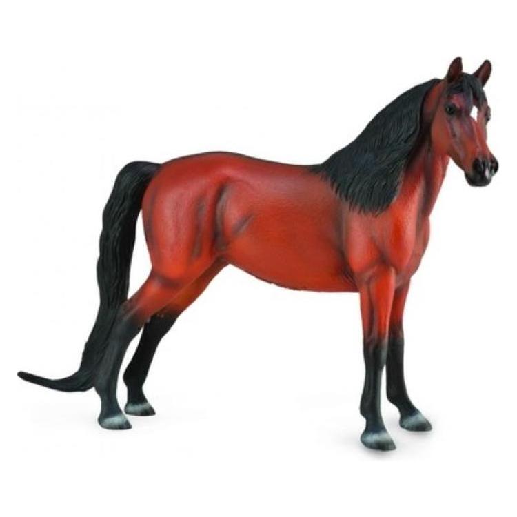 Collecta Bucht von Ko Morgan (004-88813)