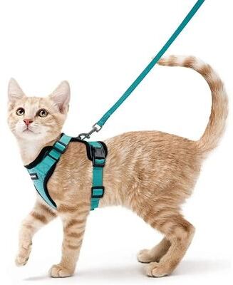 Inspired Finds SafePaws Escape Proof Reflective Cat Harness & Leash Set green xsold