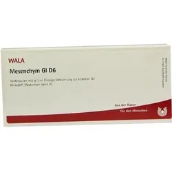 MESENCHYM GL D 6 Ampullen 10 ml