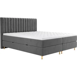 BOXBETT Elegance - H3