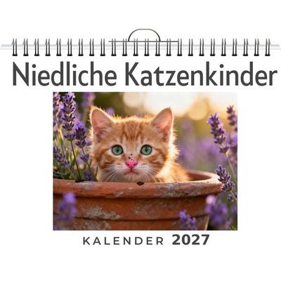Niedliche Katzenkinder
