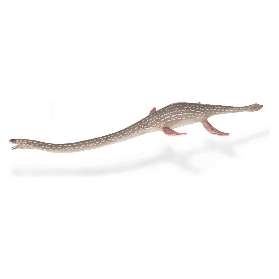 Collecta Elasmosaurus-Figur (490647)