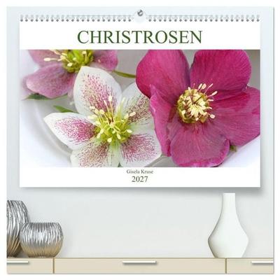 Christrosen (hochwertiger Premium Wandkalender 2027 DIN A2 quer), Kunstdruck in Hochglanz