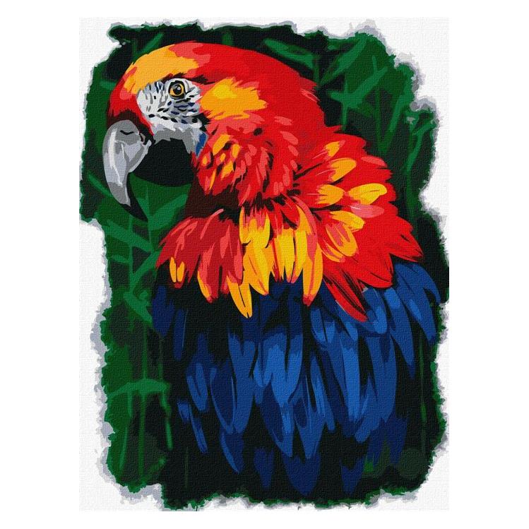 Ideyka Malen nach Zahlen - Papagei 30 x 40 cm (KHO4462)