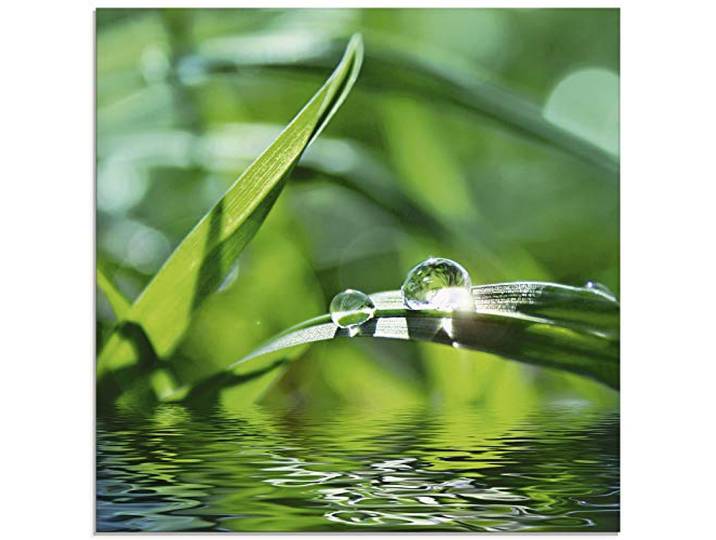 ARTland Wanddeko Glasbilder Wandbild Glas Bild einteilig 50x50 cm Quadratisch Natur Botanik Pflanzen Gräser Wassertropfen Gras Sommer Sonne Grün T5SE
