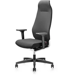 Züco Selvio E SV 0156 Drehsessel Vollpolster mit Nackenstütze frei konfigurierbar
