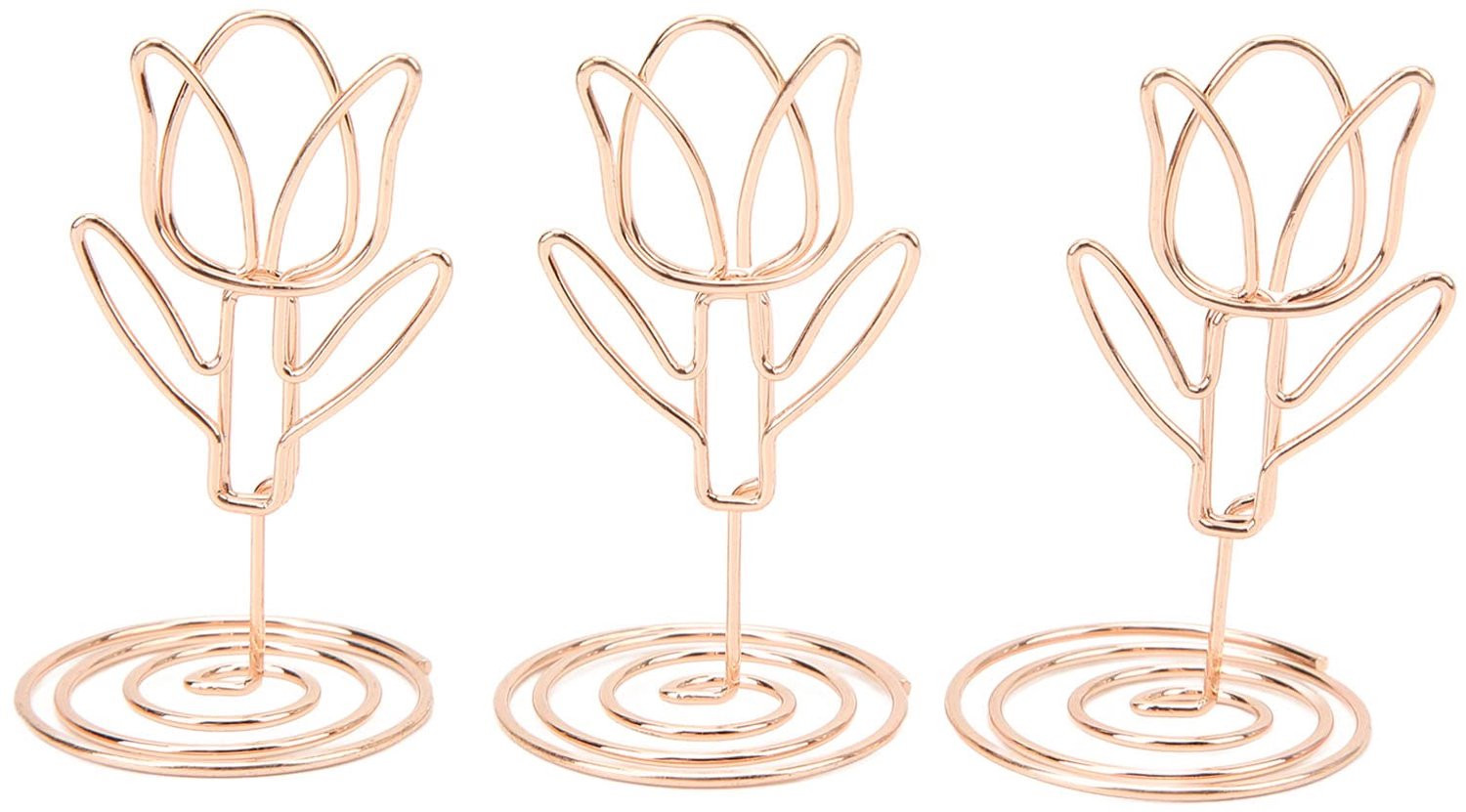 20-pack Metalen Kaarthouderclips - Fotohouder en Memo Clip