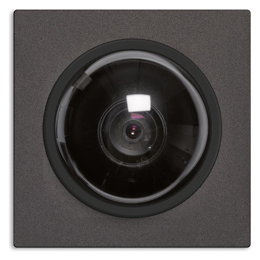 TCS Video-Kameramodul SW Dome schwarz (AMI10620-0057)