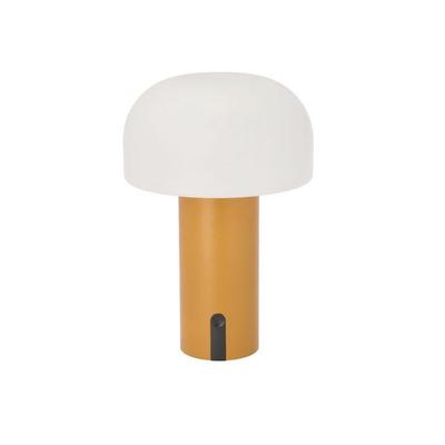 LED Lampe Styles 15 x 22,5 cm Amber PE