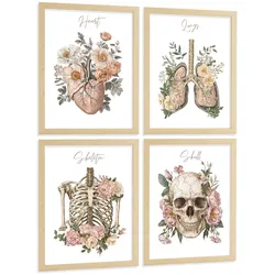 POSTER Set aus 4 Anatomie Mensch Florale Drucke und Wandbilder mit Herz Lungen Skelett und Schädel Stil Medizinische Wanddekoration Größe Rahmenlos A3