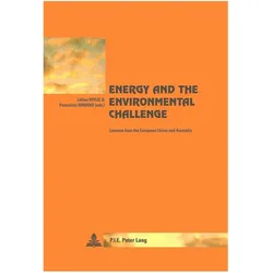 Energy and the Environmental Challenge, Fachbücher von Pascaline Winand, Lillian Wylie