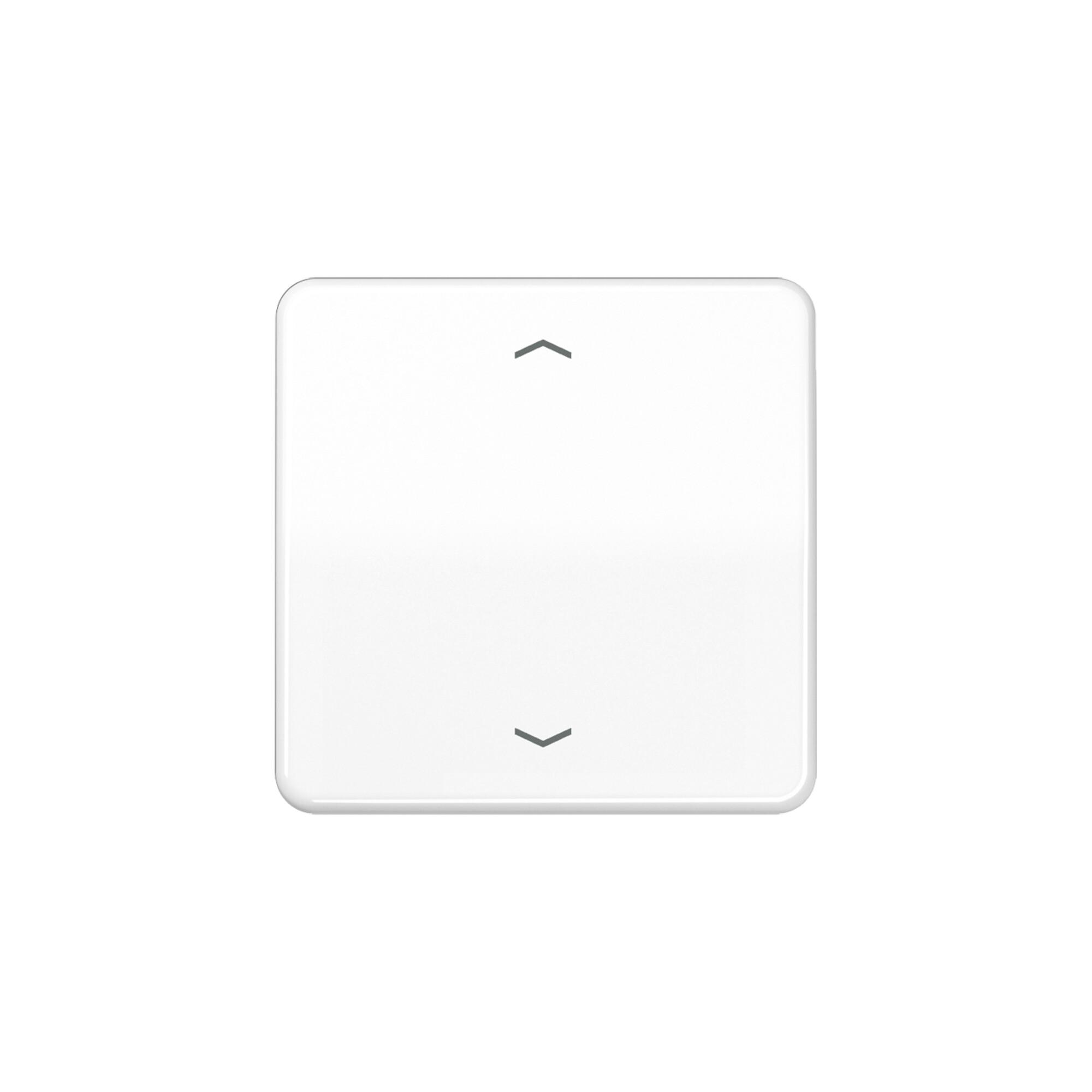 Jung Steuertaste Standard Symbole Pfeile CD 1700 P WW (CD1700PWW)