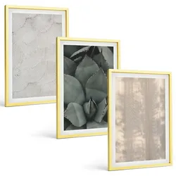 BILDER SET 3er Set - 40x60 cm Goldrahmen - Sommerliche tropische Texturen