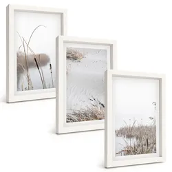 BILDER SET 3er Set - 20x30 cm Weißer Rahmen - Wasserpflanzen im Sommer
