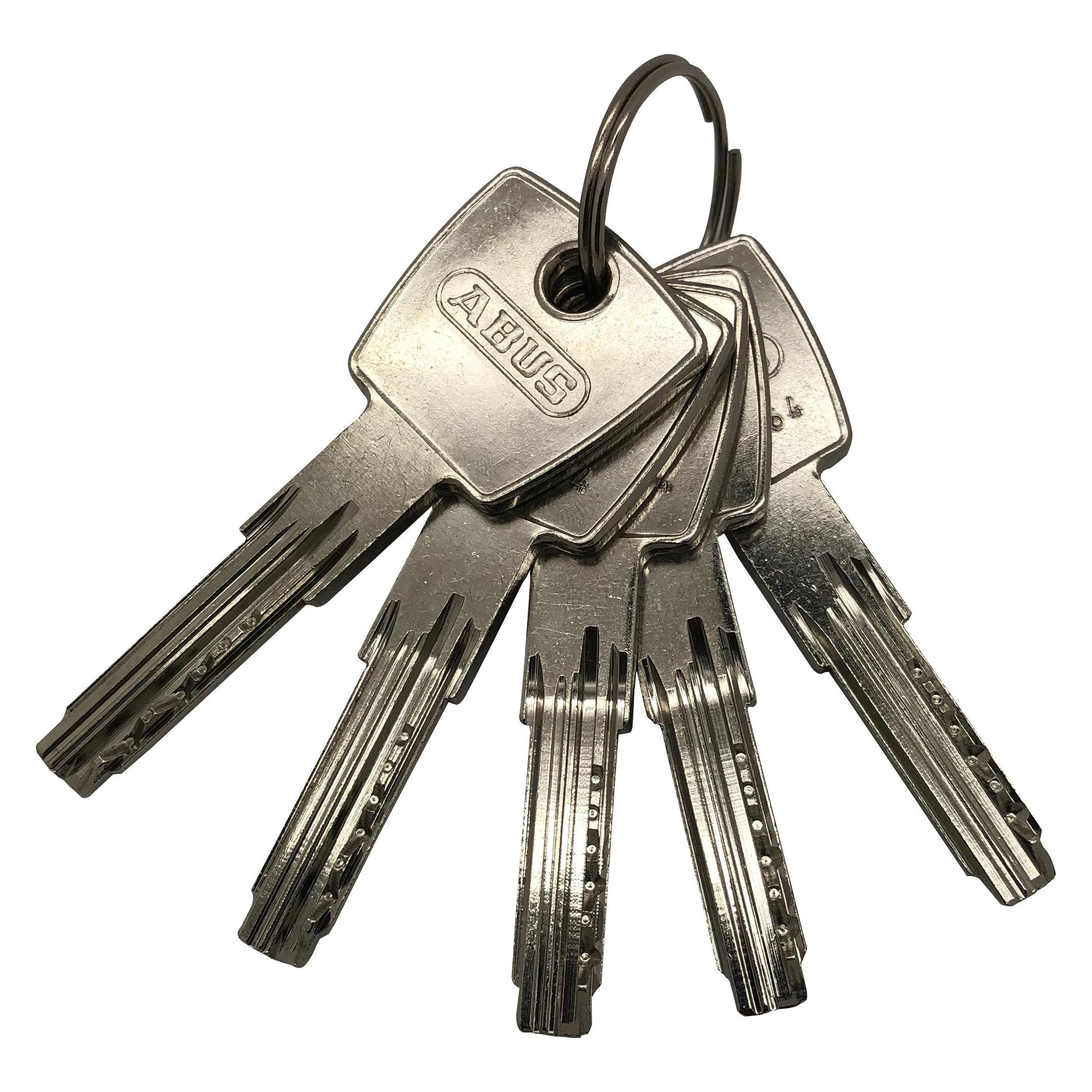 Abus Profilzylinder D6PSN 30/30 BK Messing Vernickeltes Messing, 30/30 mm (Profilzylinder) (D6PSN 30/30 BK)