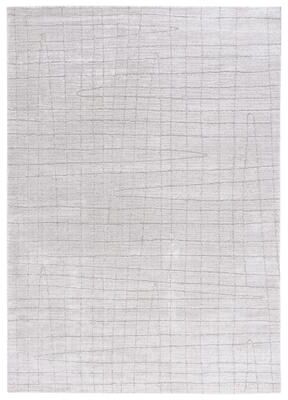 SAFAVIEH Neptune Diellza Contemporary Rug