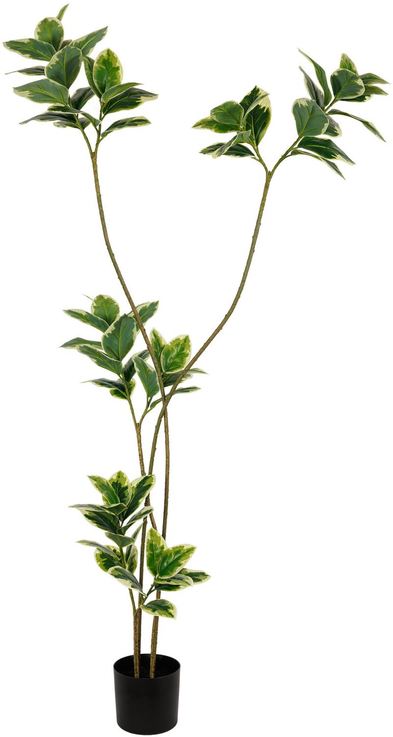 Homebound by Ky Kunstboom Ficus Real Touch 200 cm