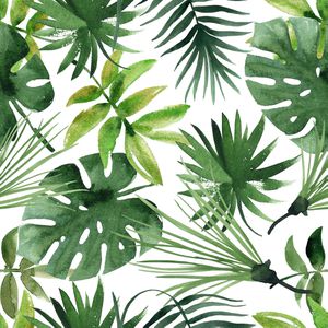 Papstar Servietten 86705 Monstera, 33 x 33 cm, 1/4-Falz, 3-lagig, 20 Stück