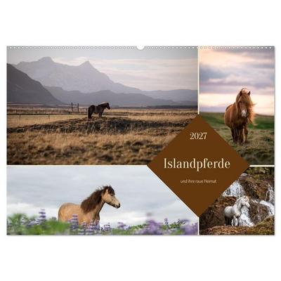 Islandpferde und ihre raue Heimat (Wandkalender 2027 DIN A2 quer), CALVENDO Monatskalender