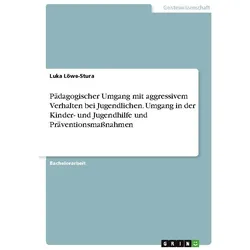 Pädagogischer Umgang mit aggressivem Verhalten bei Jugendlichen. Umgang in der K, Schulbücher von Luka Löwe-Stura