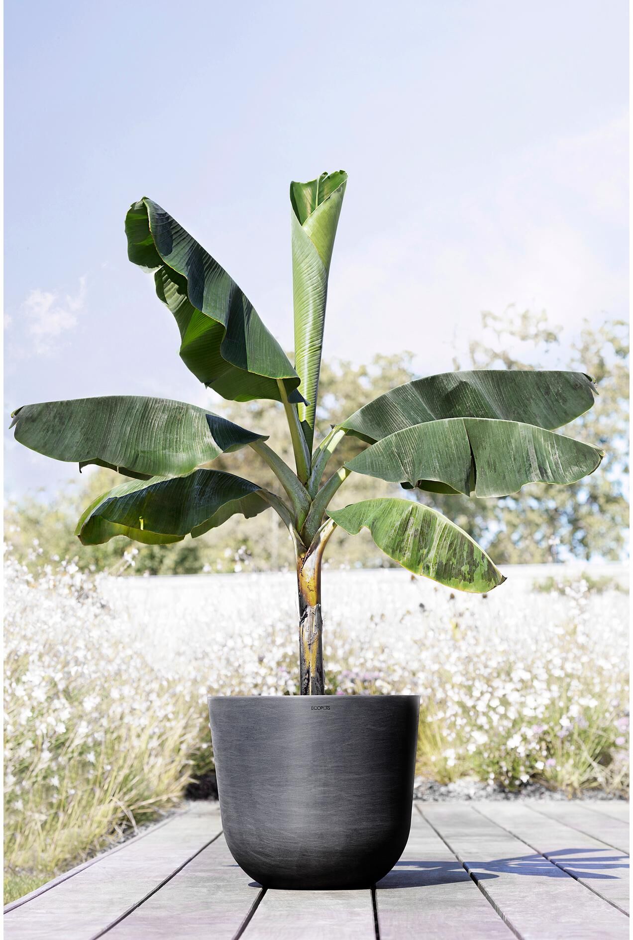 Blumentopf ECOPOTS "Oslo 45 Dunkel", grau, H:39,2cm Ø:45cm, Kunststoff, Pflanzgefässe, Blumentopf grau Ø 45cm