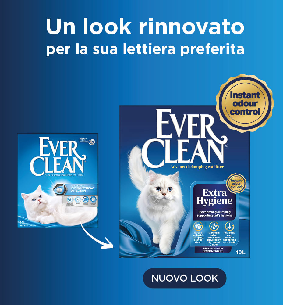 EVER CLEAN Everclean Sabbia Extra Strong Unscented 10L