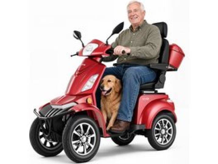 VEVOR Scooter de Mobilité Électrique à 4 Roues Tout-terrain, 1000 W, Charge 226,8 kg, avec Longue Portée 35 km, 3 Modes de Vitesses, Capacité de Montée 20°, pour Adultes, Personnes Âgées, Handicapées