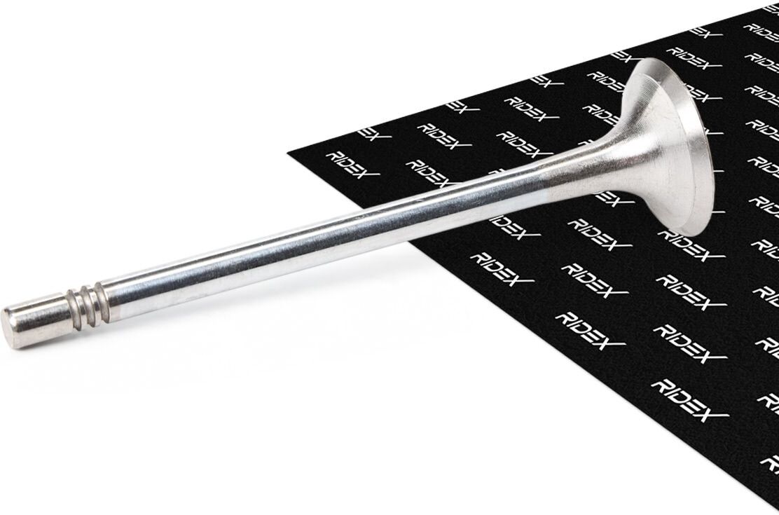 RIDEX 1270O0013 Exhaust valve