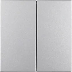 Berker Taste 2-fach aluminium matt 85142183