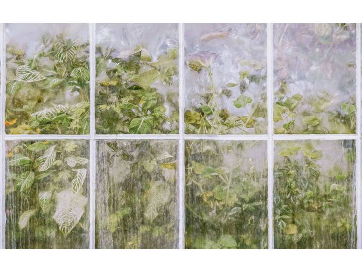 Fotobehang - Secret Stash 400x250cm - Vliesbehang