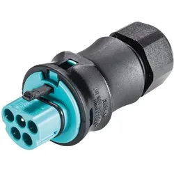 Wieland Steckverbinder Stecker 96.052.4153.6