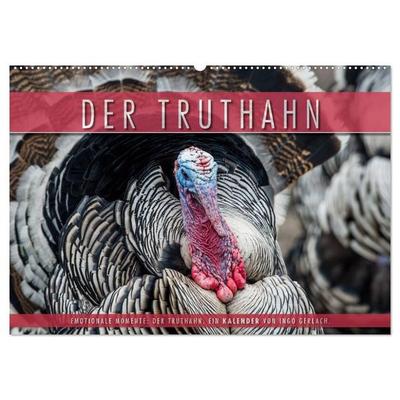 Emotionale Momente: Der Truthahn. (Wandkalender 2027 DIN A2 quer), CALVENDO Monatskalender