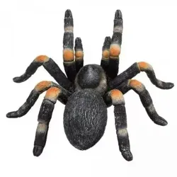 Mojo: Rotknie-Vogelspinne Figur