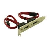 Delock S-ATA Slotblech 2 Port eSATA ADAPTER
